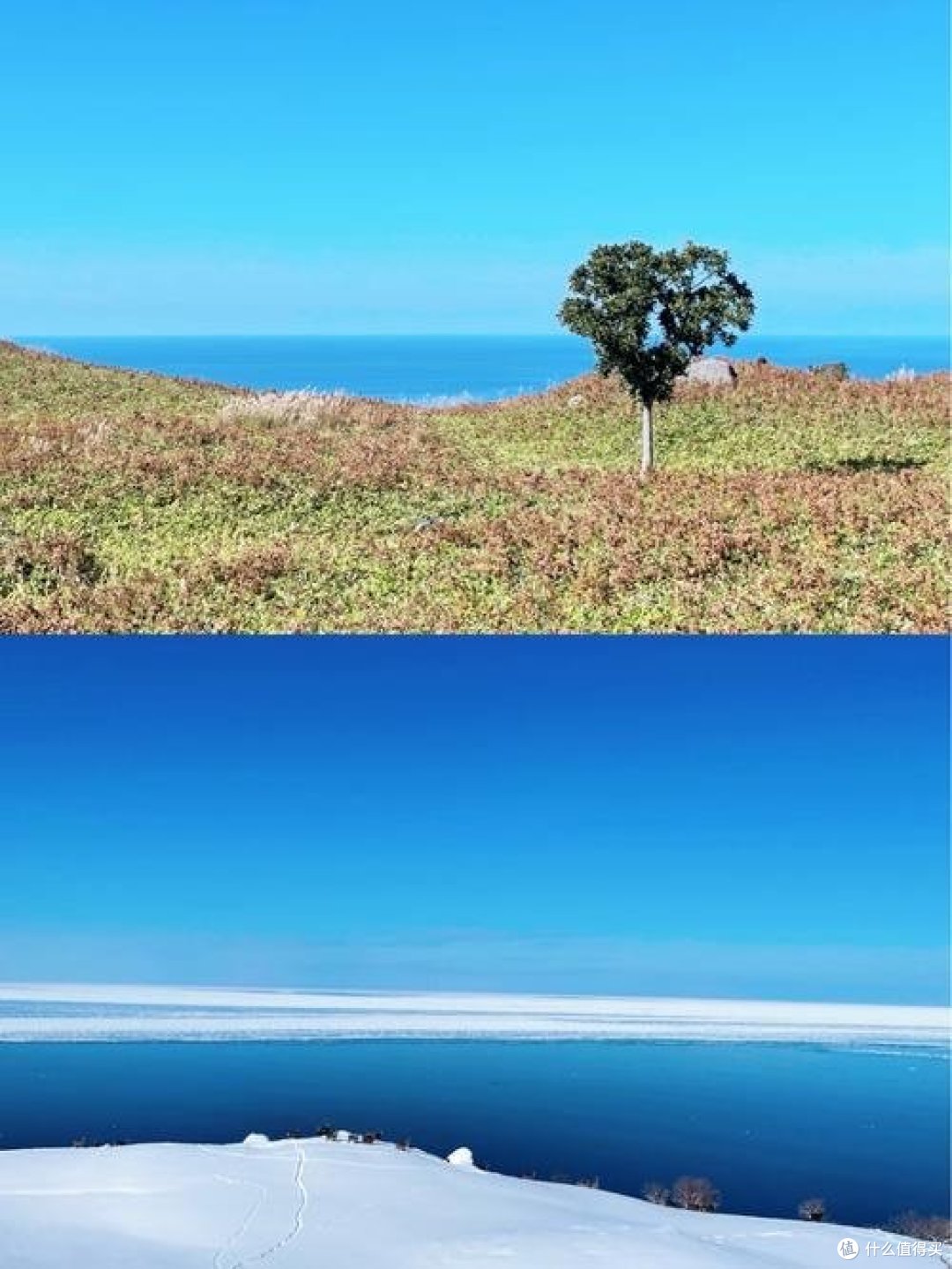 如何制定有效的篮球训练策略以提高球员表现_0